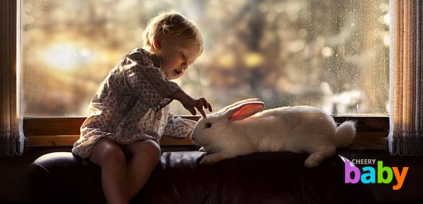 Ребёнок сможет ухаживать за кроликом получая от вас минимум помощи